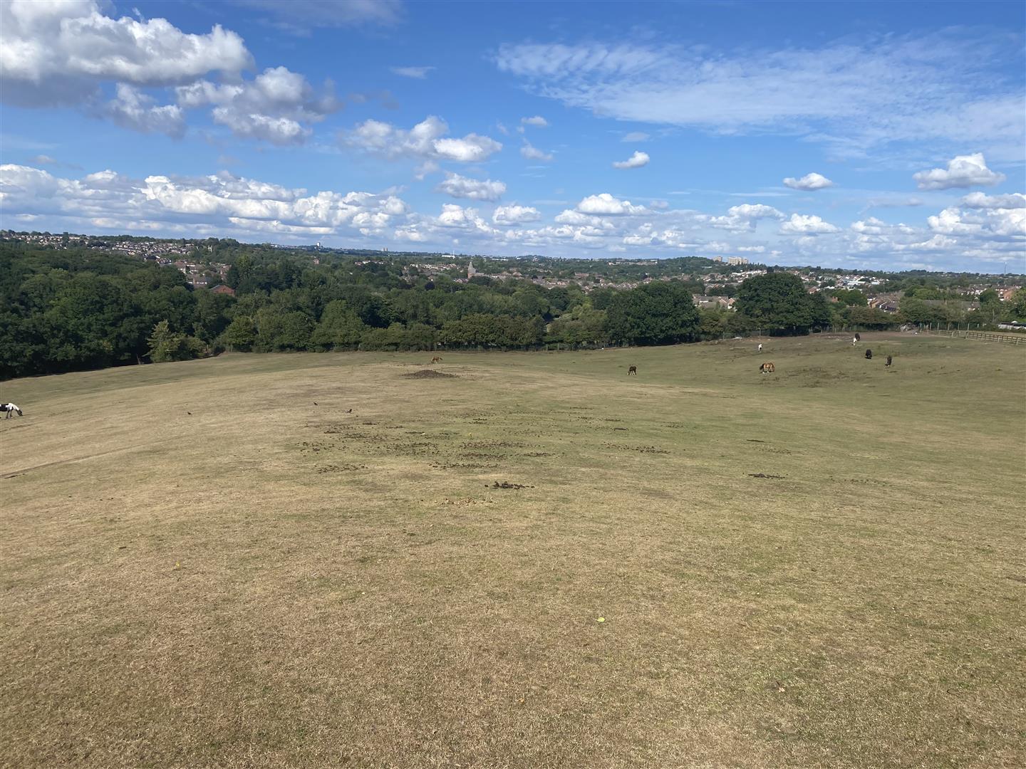 16.50 acres of Land, Hyperion Road, Stourbridge, DY7 6SJ